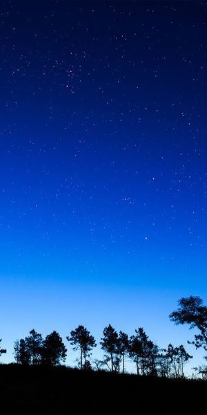 Beautiful Night Landscape with Full Moon and Starry Sky