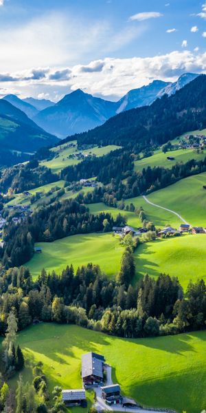 Breathtaking Valley Landscape with Trees and Mountains