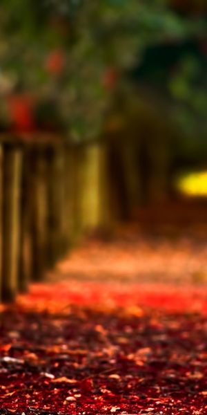 Phone wallpaper: Blur, Fall, Fence, Man Made free download
