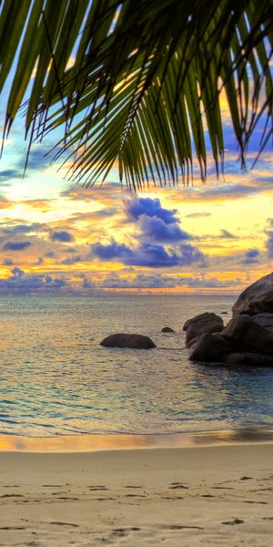 Phone wallpaper: Nature, Sunset, Sky, Sea, Beach, Sand, Horizon, Ocean, Earth, Tropical, Palm Tree f