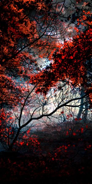 Vibrant Autumn Forest with Red Trees and a Bicycle