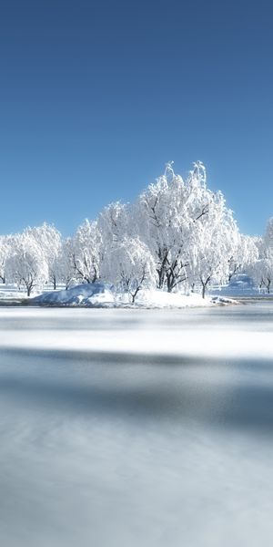Phone wallpaper: Trees, Snow, Landscape, Nature free download