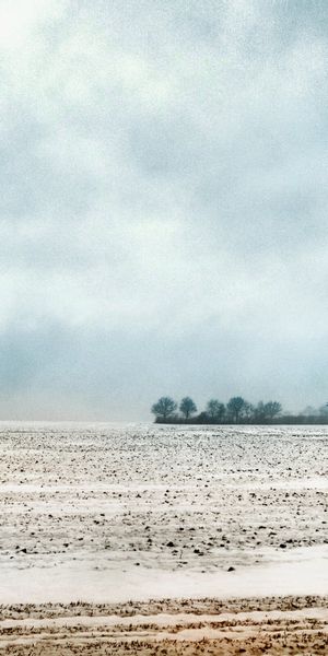 Beautiful Winter Scene Featuring a Lone Tree in the Snow