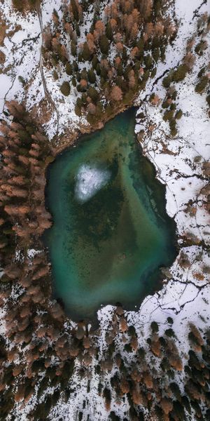 Phone wallpaper: Snow, Lake, Trees, View From Above, Winter, Nature free download