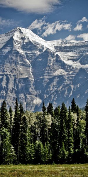Phone wallpaper: Trees, Vertex, Tops, Mountains, Grass, Nature, Sky free download