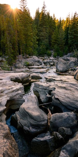 Breathtaking River Landscape Surrounded by Forest and Stones