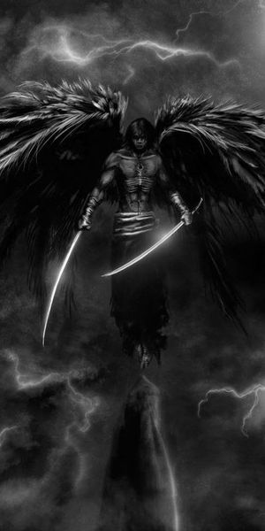 Dark Angel Warrior - Stunning Black and White Mobile Wallpaper