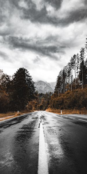 Wet Road Surrounded by Majestic Mountains and Forests