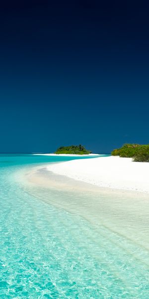 Tropical Beach Paradise with Clear Ocean and Lush Palms