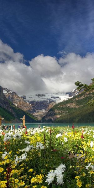 Breathtaking Floral Landscape with Majestic Mountains