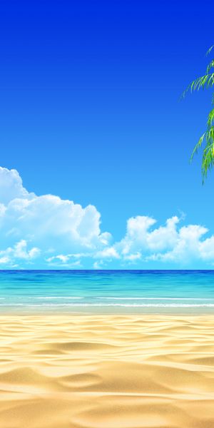 Beautiful beach wallpaper featuring palm trees and a serene ocean view