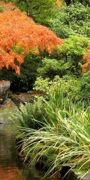 Phone wallpaper: Trees, Pond, Bridge, Autumn, Nature free download