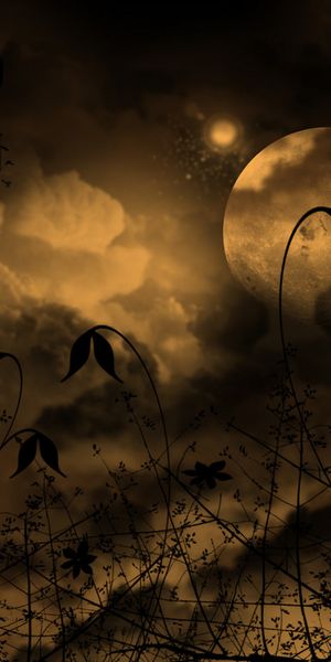 Beautiful Full Moon Over Dark Nature Scene