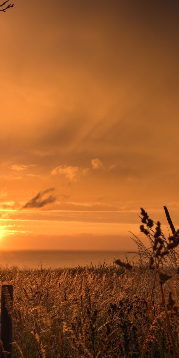 Phone wallpaper: Dusk, Nature, Grass, Sunset, Twilight, Coast, Landscape free download