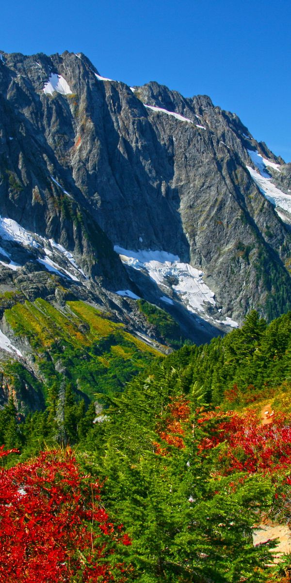 Phone wallpaper: Landscape, Mountains, Mountain, Tree, Fall, Earth free download
