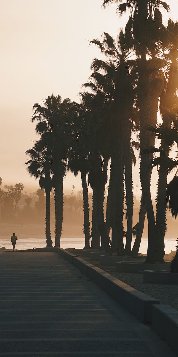 Tranquil Sunset Jogging Silhouette with Palms