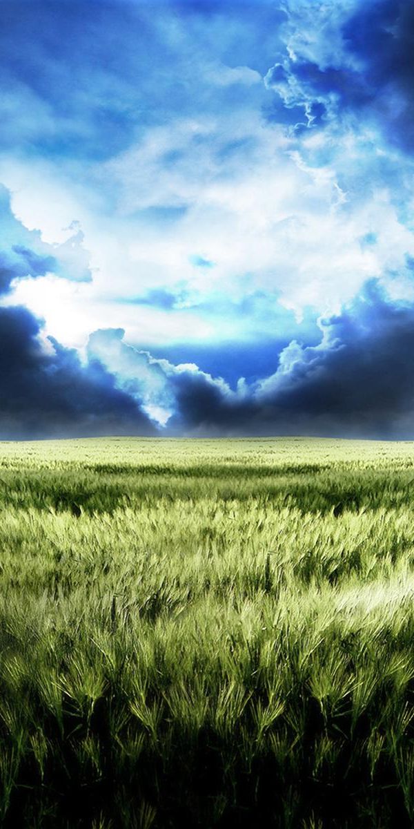 Breathtaking HD mobile wallpaper featuring a vibrant green field and dynamic clouds