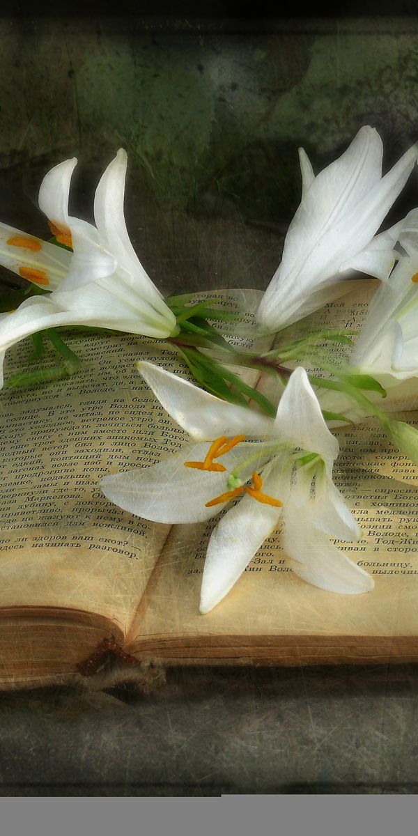 High-Quality iPhone Wallpaper Featuring Beautiful Flowers and a Vintage Book