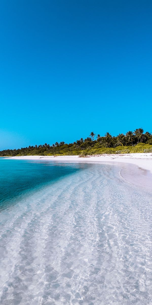 Serene Maldives Beach – Perfect Mobile Wallpaper for Nature Lovers