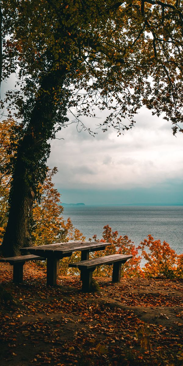 Autumn Serenity: Benches Overlooking the Sea