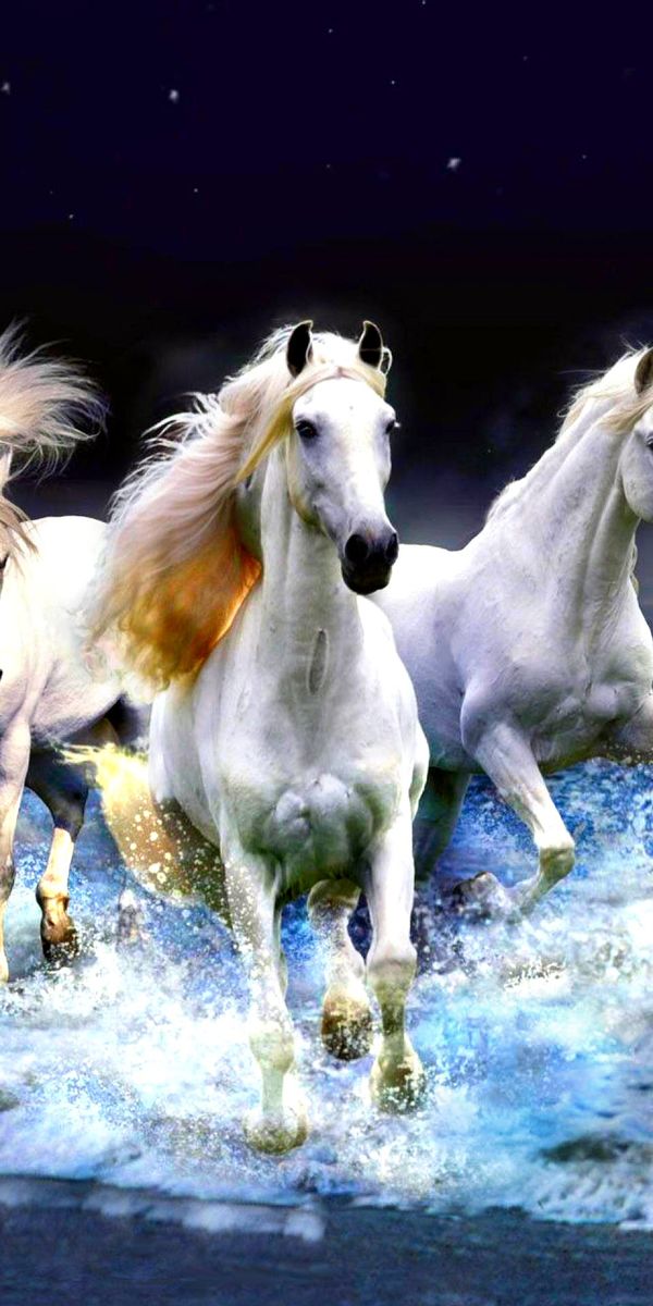 Breathtaking 4K phone wallpaper of horses running along a serene beach