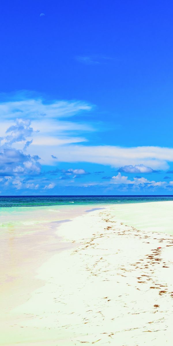 Phone wallpaper: Nature, Sky, Sun, Beach, Sand, Horizon, Ocean, Earth, Tropical, Cloud, Palm Tree fr