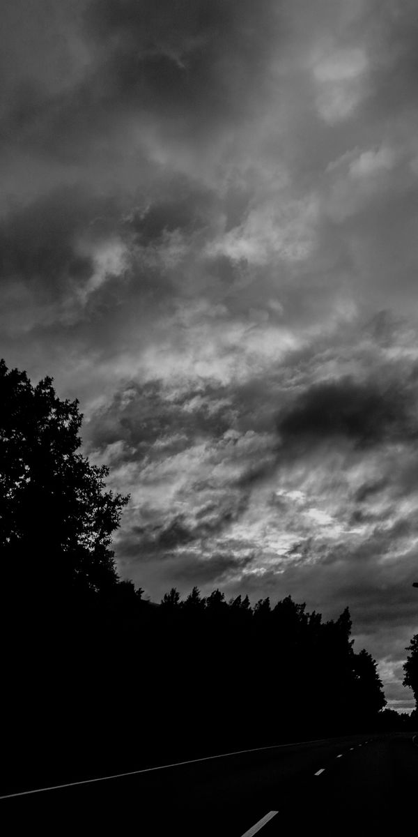 4K Wallpaper of a Darkly Atmospheric Road Surrounded by Trees