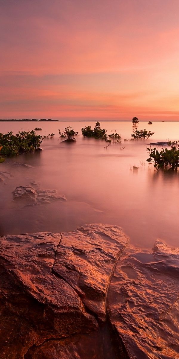 Phone wallpaper: Sunset, Horizon, Lake, Tree, Ocean, Earth, Scenic free download