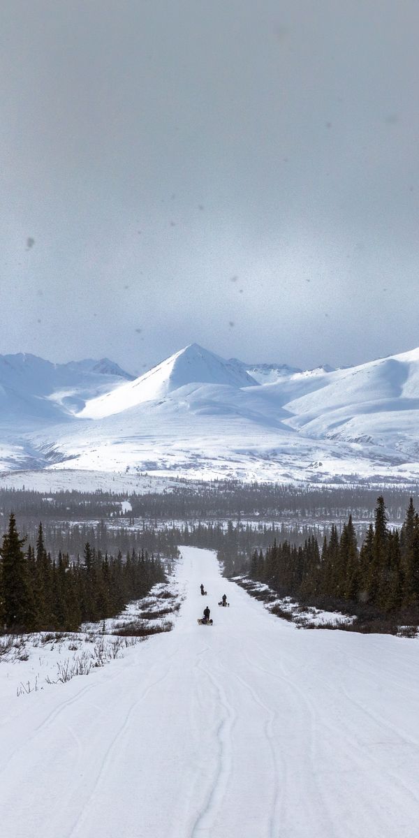 Phone wallpaper: Snow, Trees, Nature, Mountains, Road, Winter, Landscape free download