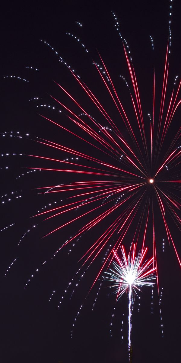 Vibrant Fireworks Display in a Dark Night Sky