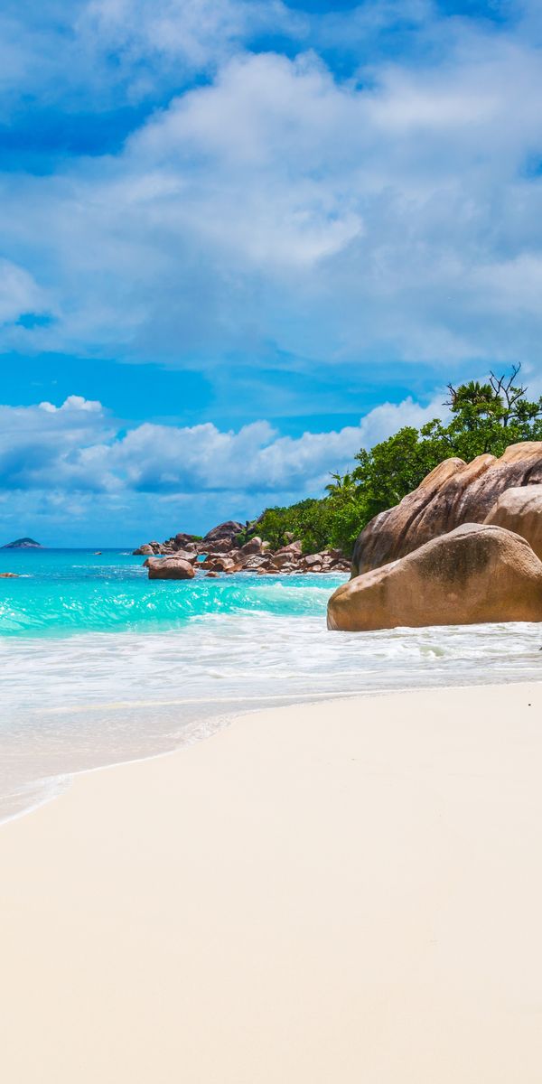 Tropical Paradise Wallpaper: Seychelles and Maldives Beach with Palm Trees