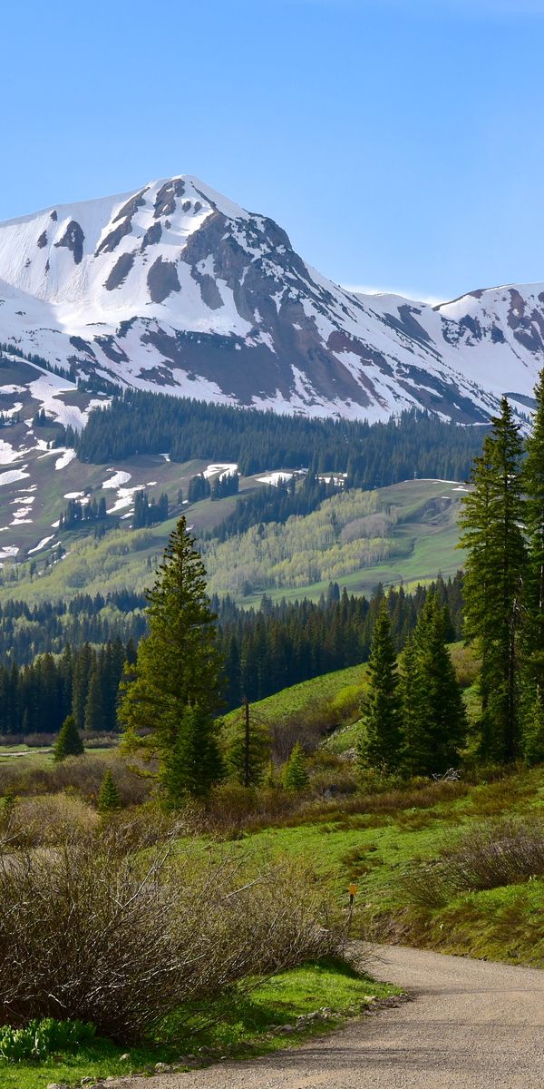 Phone wallpaper: Fir, Spruce, Snowbound, Nature, Snow Covered, Mountains, Trees, Road free download