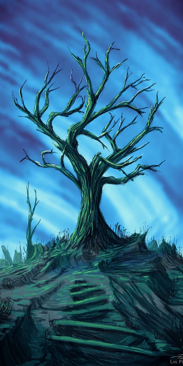 Phone wallpaper: Branches, Dry, Wood, Tree, Path, Trail, Art free download