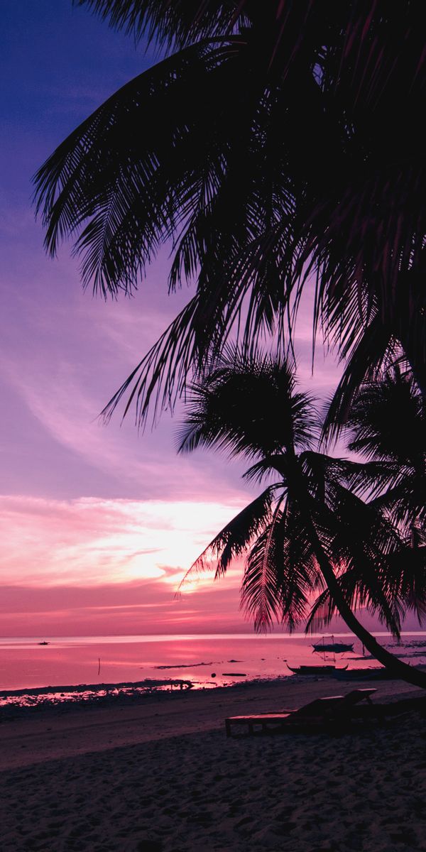 Tropical Beach Sunset Wallpaper: A Serene Shoreline with Palms and Nature