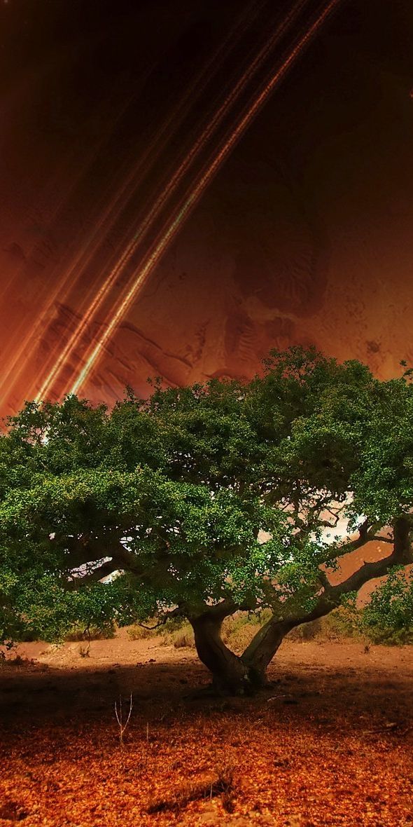 Breathtaking mobile wallpaper of a tree against a cosmic landscape