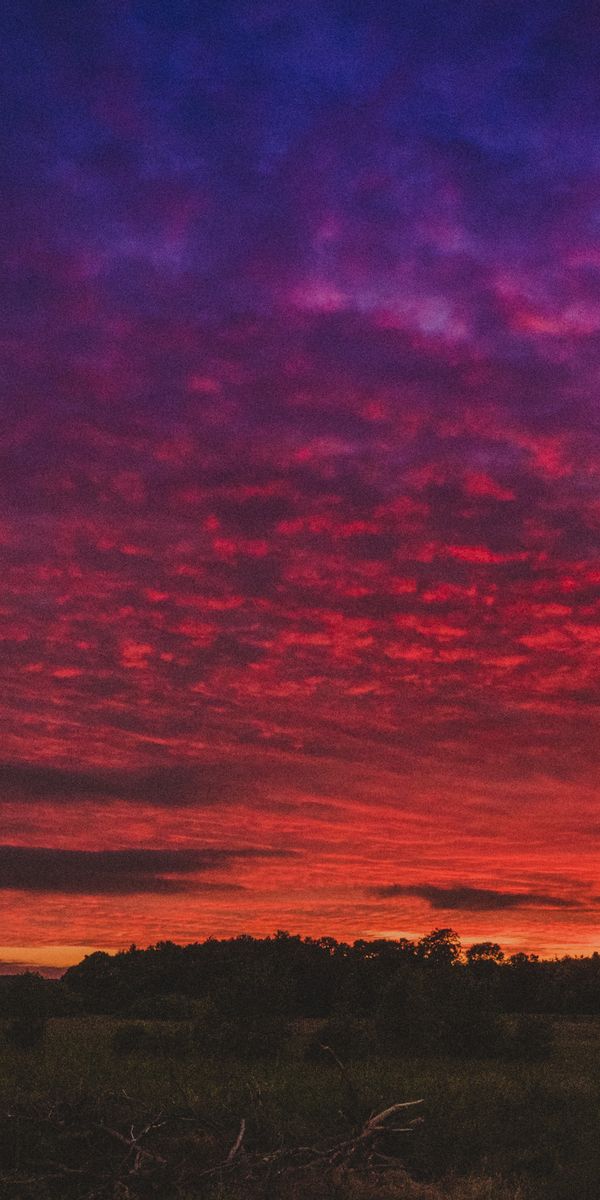Phone wallpaper: Sunset, Field, Sky, Beautiful Landscape, Nature free download