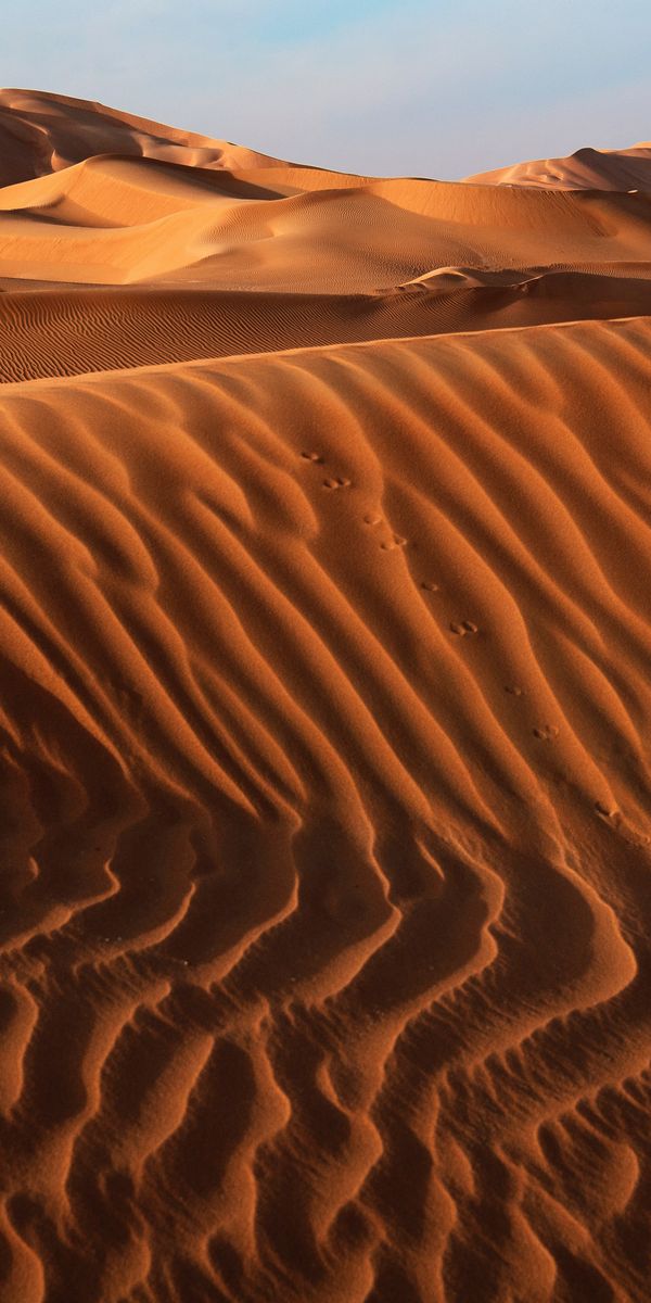 Phone wallpaper: Nature, Sand, Desert, Earth, Dune free download