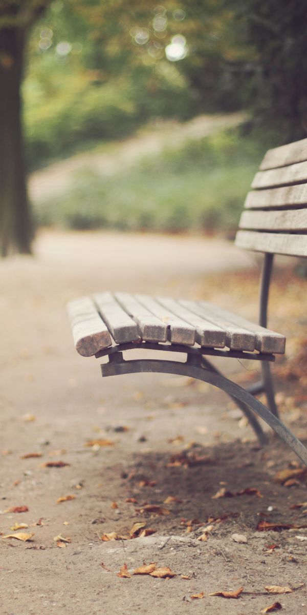 High-Quality Mobile Wallpaper Featuring a Tranquil Park Bench in Nature