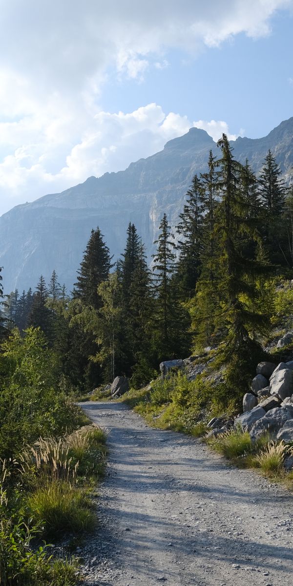 Phone wallpaper: Landscape, Road, Trees, Nature, Forest, Mountains free download