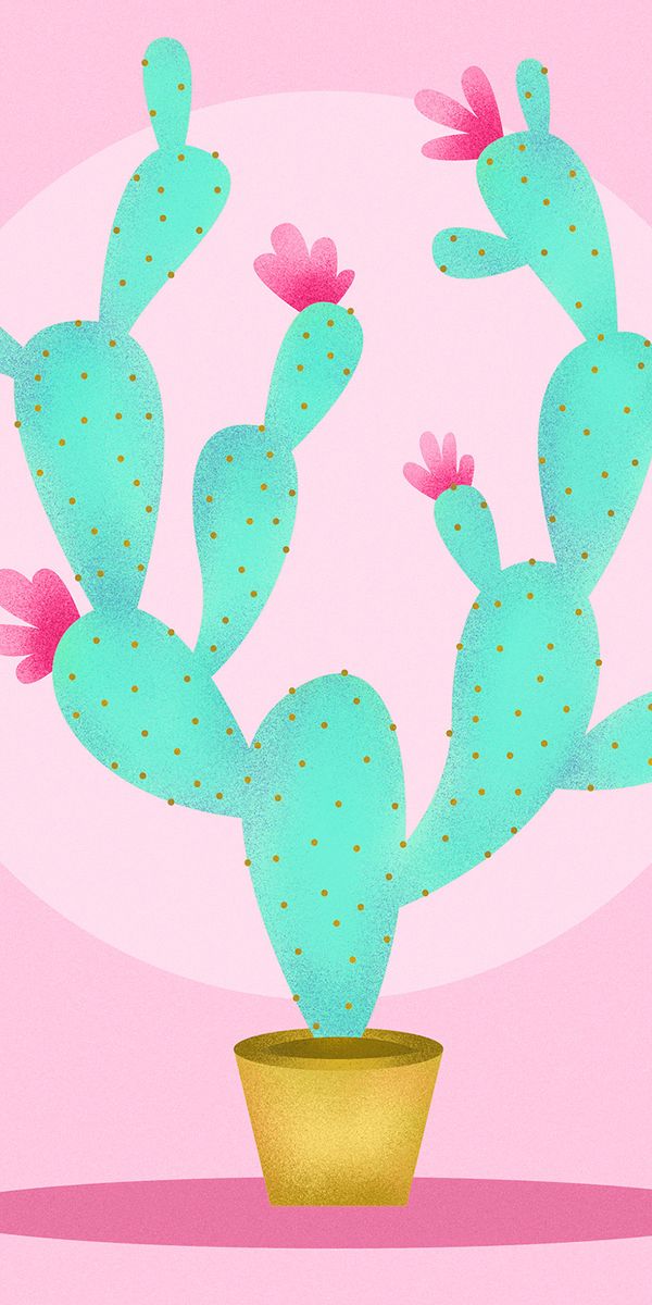 Phone wallpaper: Cactus, Pink, Art, Flowers free download