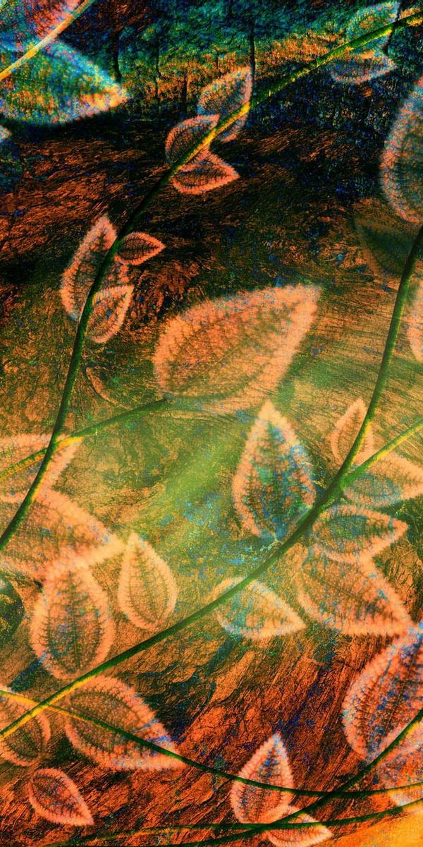 Vibrant Abstract Leaves Wallpaper for Your Mobile Device