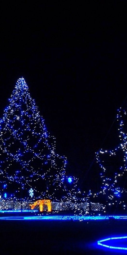 Beautiful Blue Christmas Tree Lights at Night
