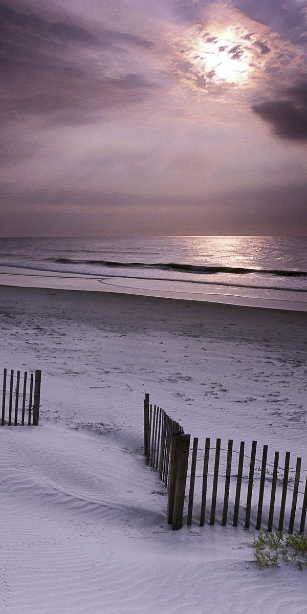 Captivating 4K beach wallpaper featuring tranquil sands and a moody sky