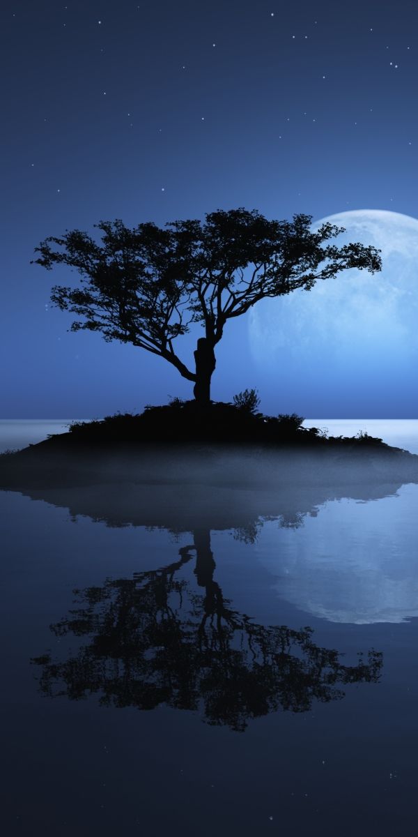 Moonlit Island with Tree Reflection in Water