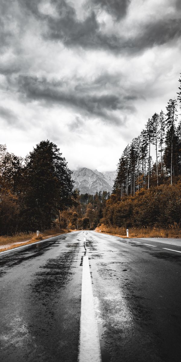 Wet Road Surrounded by Majestic Mountains and Forests