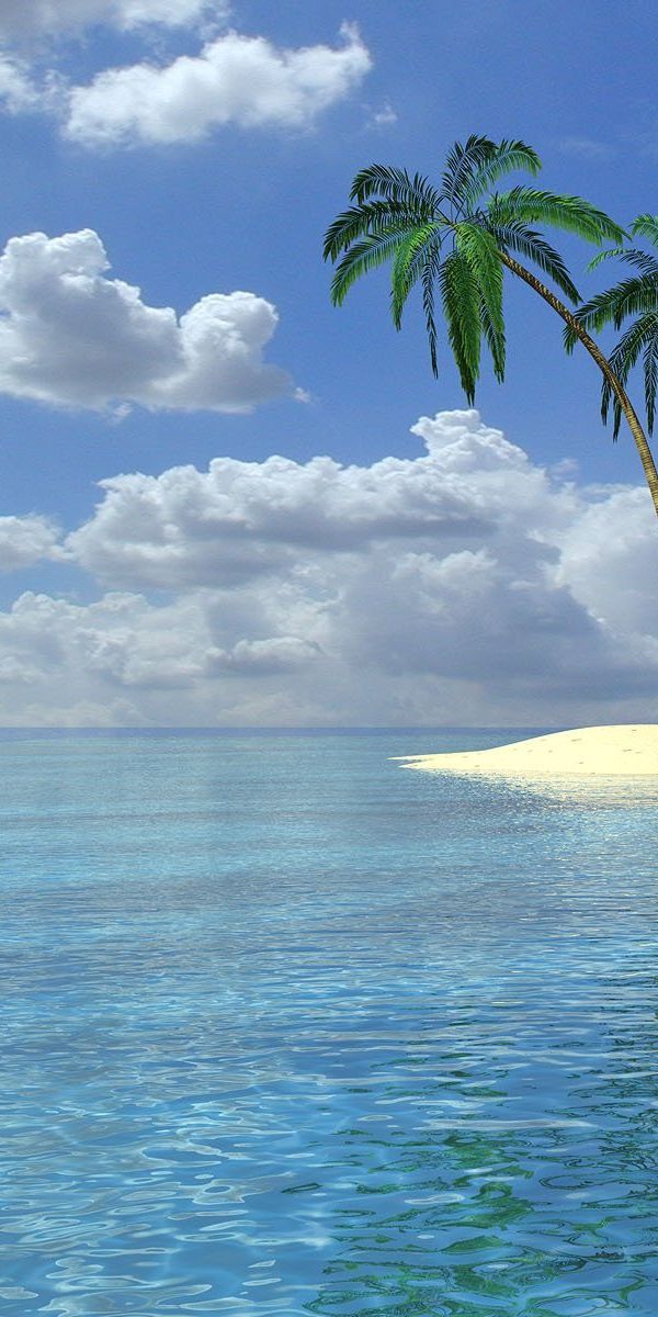 Breathtaking iPhone wallpaper featuring a tranquil summer landscape with palms