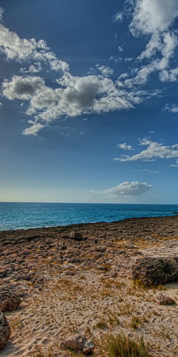 Breathtaking summer coastline wallpaper: HD phone background of sea and sun