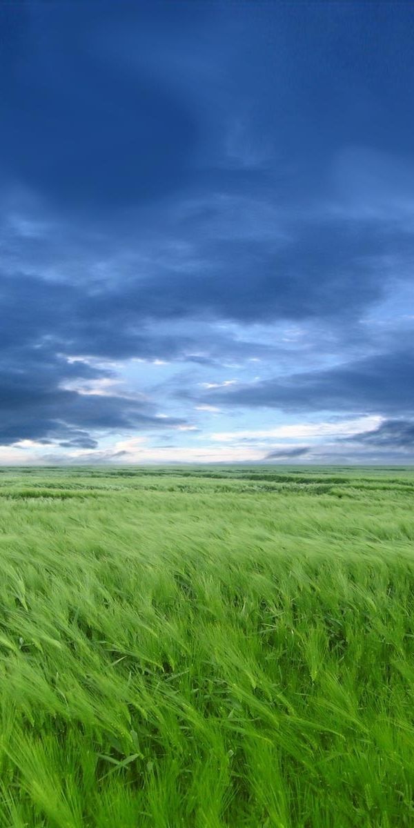 Breathtaking Landscape with Blue Sky and Green Grass