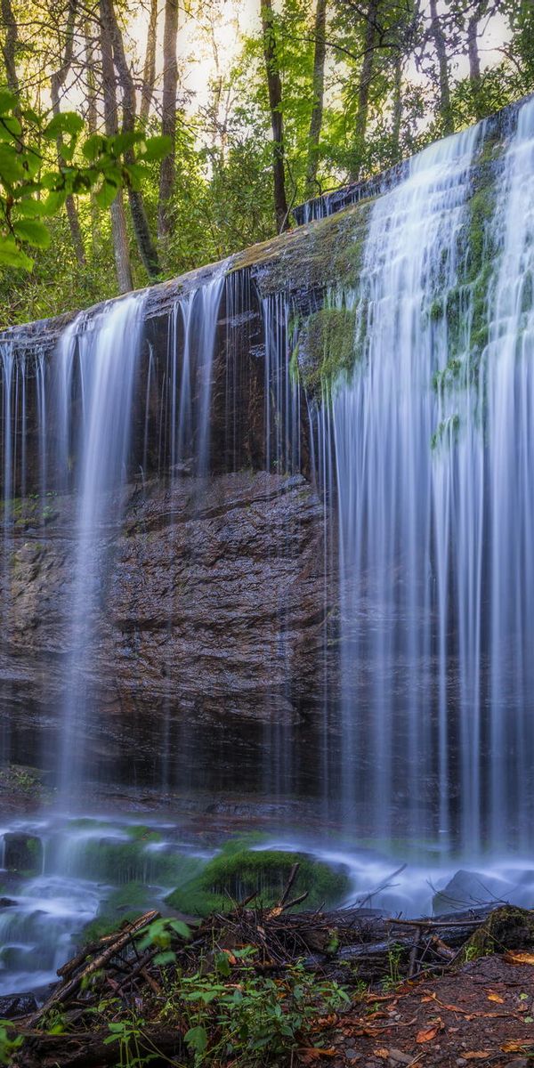 Serene Waterfall in a Tranquil Natural Setting