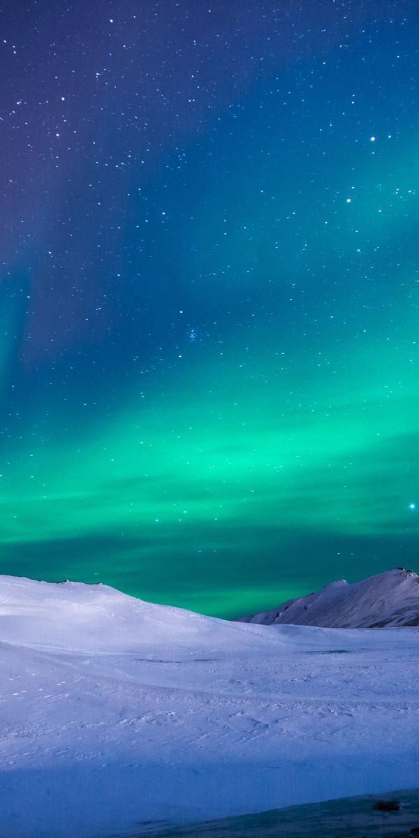 Aurora Borealis Illuminating a Winter Wonderland